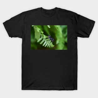 Nine-spotted moth on green leaf T-Shirt